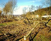 de Ritwee erof 27.2.1995_003 My beautiful picture