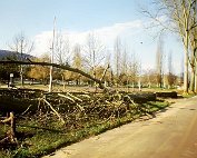 de Ritwee erof 27.2.1995_009 My beautiful picture