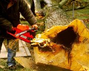 de Ritwee erof 27.2.1995_015 My beautiful picture