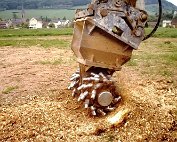 Wurzelen ewech 10.5.1995_001 My beautiful picture