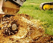 Wurzelen ewech 10.5.1995_005 My beautiful picture