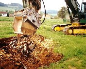 Wurzelen ewech 10.5.1995_006 My beautiful picture