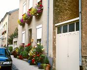 Blummen 4.9.1999 _002 My beautiful picture