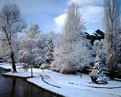 Wanter 19.12.1999 _012 My beautiful picture