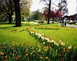 Parc 24.4.2000 0003 My beautiful picture