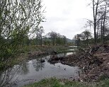 Beim Weier 15.4.2012 0017