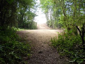 Rond-Point 18.6.2017