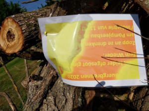 Holz fir Buerg 21.5.2020