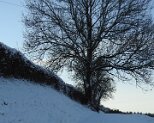 Natur 15.1.2021 020