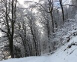 Natur 15.1.2021 025