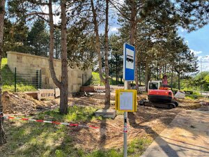 Fielserstroos Waasserschlass 4.6..2022