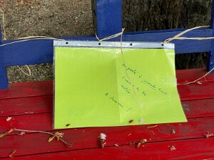 Noperschaftsfest 21.5.2022