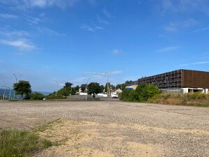 Härebierg 26.7.2025