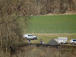 Baam planzen 20.3.2025