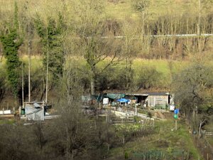 Häiser Härebierg 31.1.2025